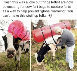 b015660079c365a92ca9b054.png