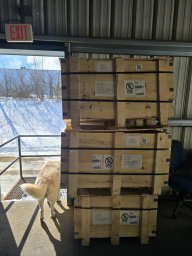 pasted-image-1770602600795